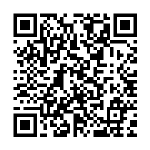 只见一个光着屁股的家伙在藏兵之山的一片结晶之地中又叫又跳二维码生成