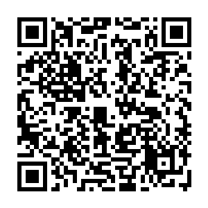 只见一个华南军校竞赛组的学生惊叫着推开了面前那个想要收缴他武器的士兵二维码生成
