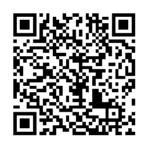 只见一个巨大的拳头带着澎湃的能量余波闪电般冲向老妪二维码生成