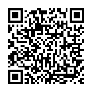 只见一个年轻人的头颅被一道淡蓝色的风刃直接给切除掉落了二维码生成