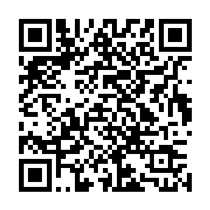 只见一个穿着小道袍扎着马尾辫的小女孩惊喜无比的看着我二维码生成