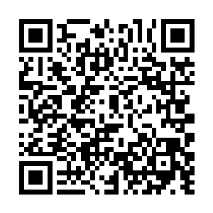 只见一位粉雕玉琢很漂亮的小男孩风风火火的走进来二维码生成