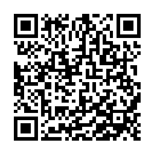 只见一位身穿淡白色宫装的女子缓缓从下一层走了上来二维码生成