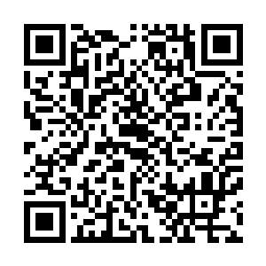 只见一只体型肥硕的巨型噬灵鼠出现在了自己身后的不远处二维码生成