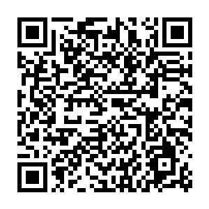 只见一只身子足有二尺来粗的巨型蠕虫从刚才那阴森地洞之中跻身出来二维码生成