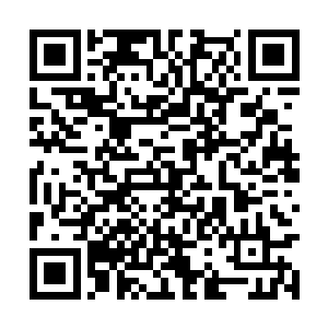 只见一只黑色的小虫子缓缓的从竹筒之中爬了出来二维码生成