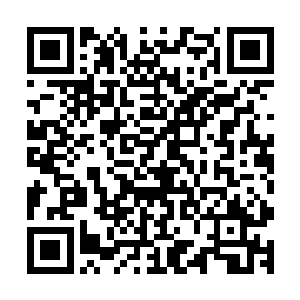 只见一名全身都包裹在一层铠甲内的佣兵手中正提着那只幼兽二维码生成