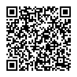 只见一名奇丑无比的侏儒和一名道士打扮的老者如闪电般的从天落下二维码生成