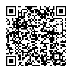 只见一名年纪看似仅有岁的男童悄无声息的出现在那名兽族老者的位置二维码生成