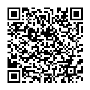 只见一名蒙面黑衣杀手此刻正用着极其锐利的眼神向着自己的方向看来二维码生成