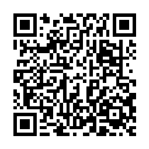 只见一名身穿白色华贵长袍的青年正不急不缓的从外面走了进来二维码生成