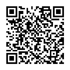 只见一块乳白色的拳头大小的晶石出现在了袁鸿的头顶二维码生成