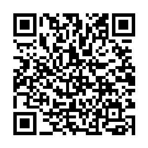 只见一条粗大的黑蛇直直的设向闻声寻来的青年男子二维码生成