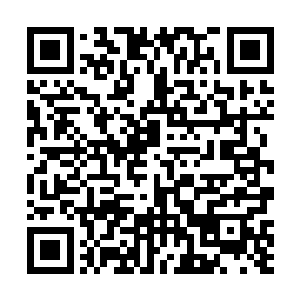 只见一条足可以供八辆马车并排形势的大街上行人如织二维码生成