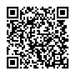 只见一枚不过拇指大小的金色印章漂浮在剑尘面前二维码生成
