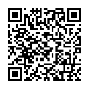 只见一根大约一指粗细的小蛇从那宽大的袖袍中冒出二维码生成