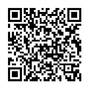 只见一群穿着灰色衣物的人群顿时将苏凡两人围了起来二维码生成