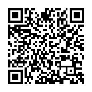 只见一身段瘦高着灰布长衫的男子负手厅外侧对二维码生成