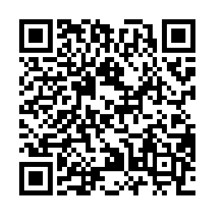 只见一身红衣的萱若轻灵坐于院子之中的一棵大树之上二维码生成