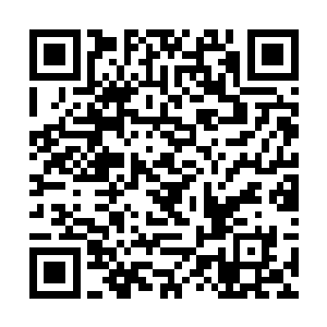 只见一道道刺眼的金光瞬间从斗战胜佛身上激荡而出二维码生成