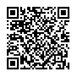 只见不少穿着甚是奢华的年青人正扶着楼梯栏杆朝下张望二维码生成