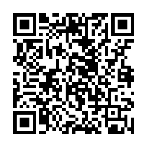 只见不远处尼尔和佩德罗正在面红耳赤地争执着什么二维码生成