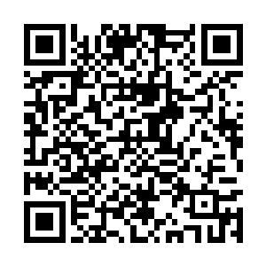 只见两个看起来颇有几分气度的帅气英俊的年轻人二维码生成