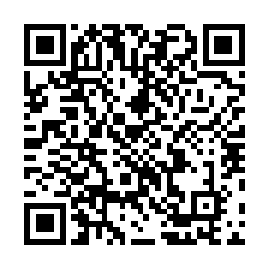 只见两位垂暮老者各自从袍袖之中快如闪电般的点出一指二维码生成