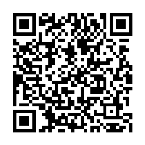 只见两排的路灯随着蜿蜒的河流闪烁着璀璨的光二维码生成