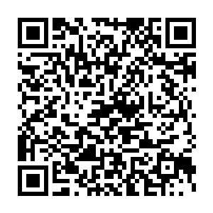 只见两盏绚丽的霓虹灯瞬间照耀在林辰与其身旁的十五六岁少年身上二维码生成