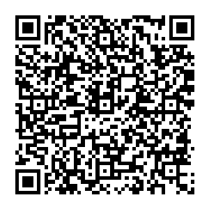 只见之前还满脸不屑鄙视嘲讽中国女人的西班牙籍明星艾尔和碧拉尔正一脸苍白无血色地朝这边匆匆走来二维码生成