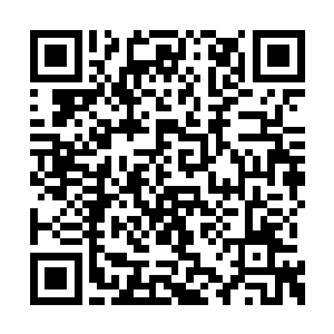 只见二十多颗白净净的神乌蛋整齐的摆放在一起二维码生成