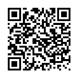 只见他们两人催动出来的守护盾壁二维码生成