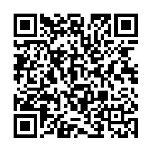 只见他们所在的地面都被一条条横线和竖线划分开来二维码生成