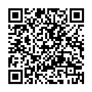 只见他整个身子随着苏凡狠狠的一踢划出了一道抛物线二维码生成