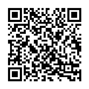 只见他立即化为一道黑影快速的杀入了德爷的小弟群中二维码生成