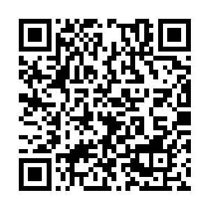 只见伴随着一阵阵沉闷的撞击声和骨肉撕裂声响起二维码生成