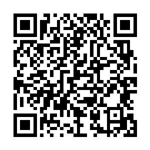 只见伴随着人参果的力量开始渗透到楚旬身体的每一个部分二维码生成