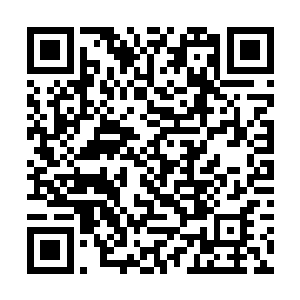 只见佣兵之城的大长老天剑带着几名老者从里面走出二维码生成
