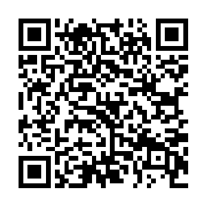 只见停留在半空中的那个上位神高手竟然一下子飞退了回来二维码生成
