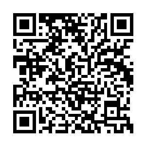 只见先前的那只巨大黑影慢慢显露出真实面目来二维码生成