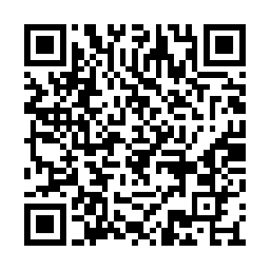 只见先前那名带他上楼的女服务员走到他的近前二维码生成