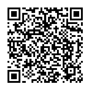 只见六名化成人形的七阶魔兽正从远方闪电般向着剑尘他们飞掠而來二维码生成