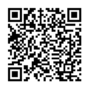 只见其中一名女仙突然伸手从自己怀里掏出来了一朵有些蔫二维码生成