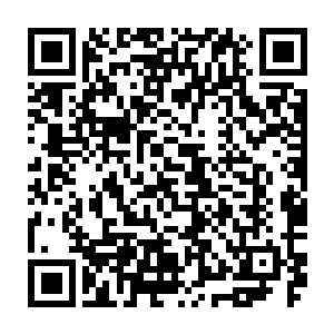 只见几名长老一个个目光骇然的在天翼神虎和朗姆吉尼斯两人身上來回扫视二维码生成