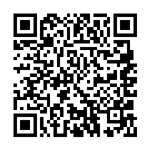 只见几名黑衣人倒在关押北堂国使臣的房间地上二维码生成