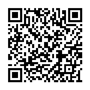 只见刚才那个本来如同死狗一般横躺在地的铁熊二维码生成