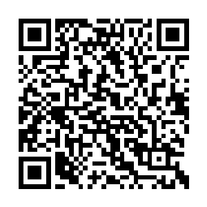 只见到自己的身体中出现了好多刀刃形状的窟窿二维码生成