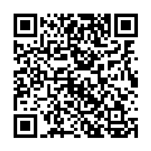 只见剑尘手中的巨斧已经与白尽的长剑碰撞在一起二维码生成