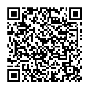 只见剑无虚手中的那朵虚无之花化作了黑烟一般的虚无向着四周散去二维码生成